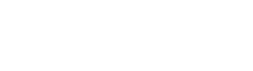 Intelisa